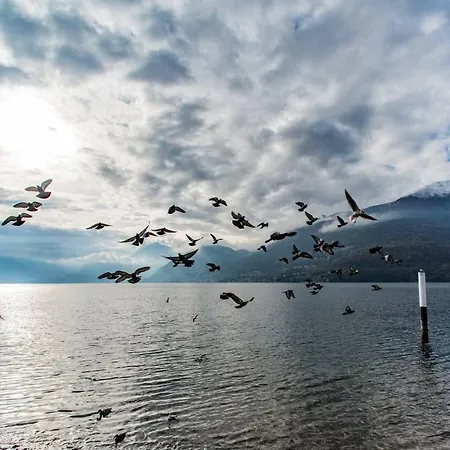 La Corte With Amazing Pool And Garden Colico