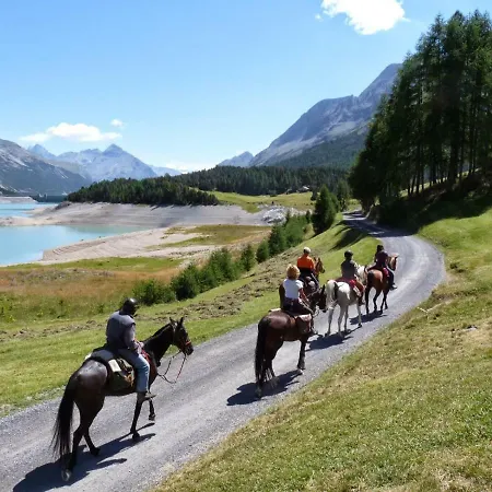 Villa La Corte With Amazing Pool And Garden Colico