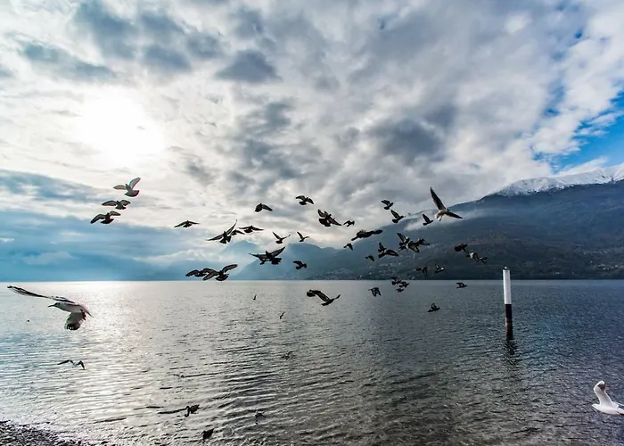 La Corte With Amazing Pool And Garden コーリコ